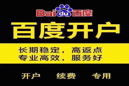 百度竞价广告如何助力：一则教育行业的成功案例
